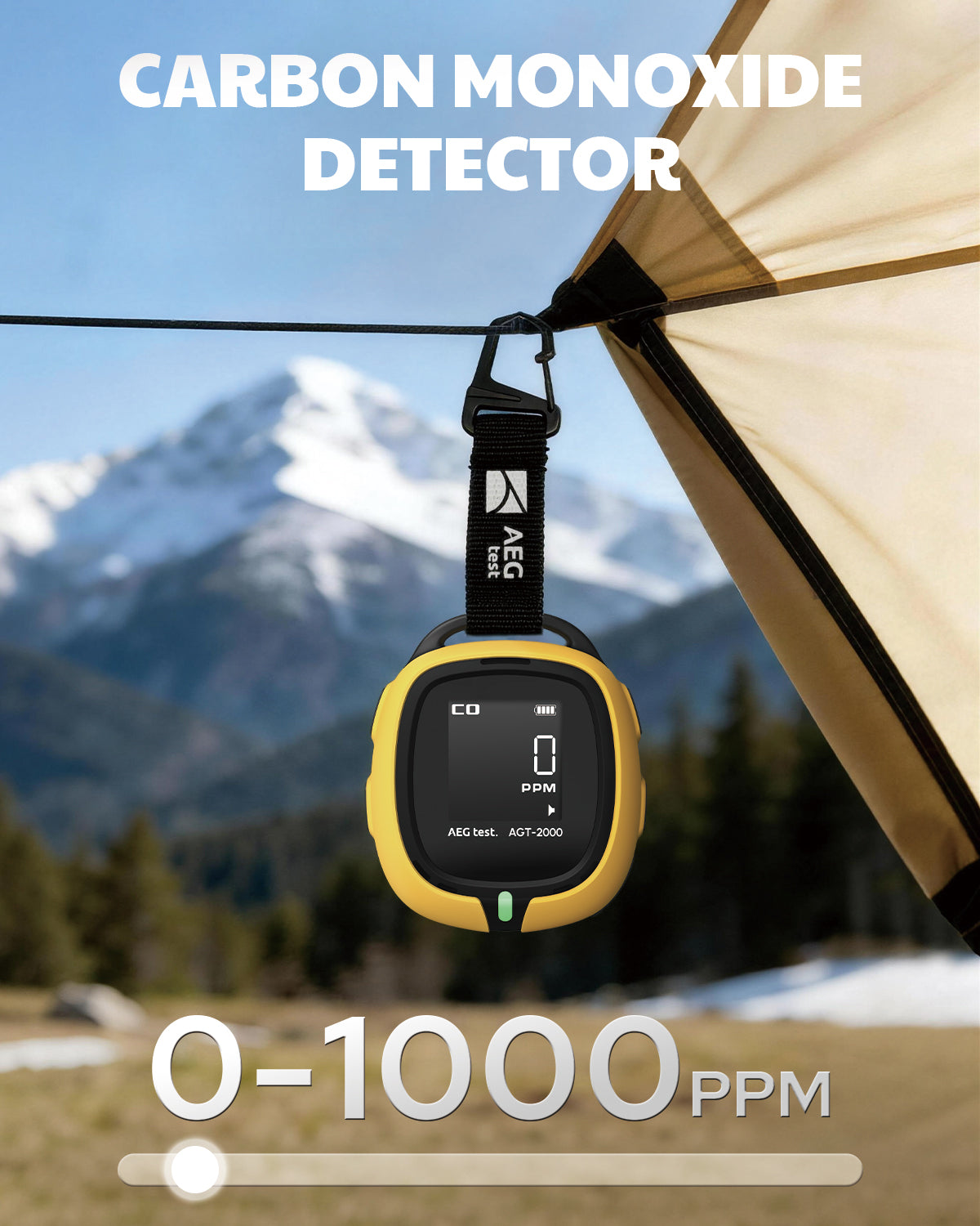 AEGTEST AGT-2000 Carbon Monoxide Detector